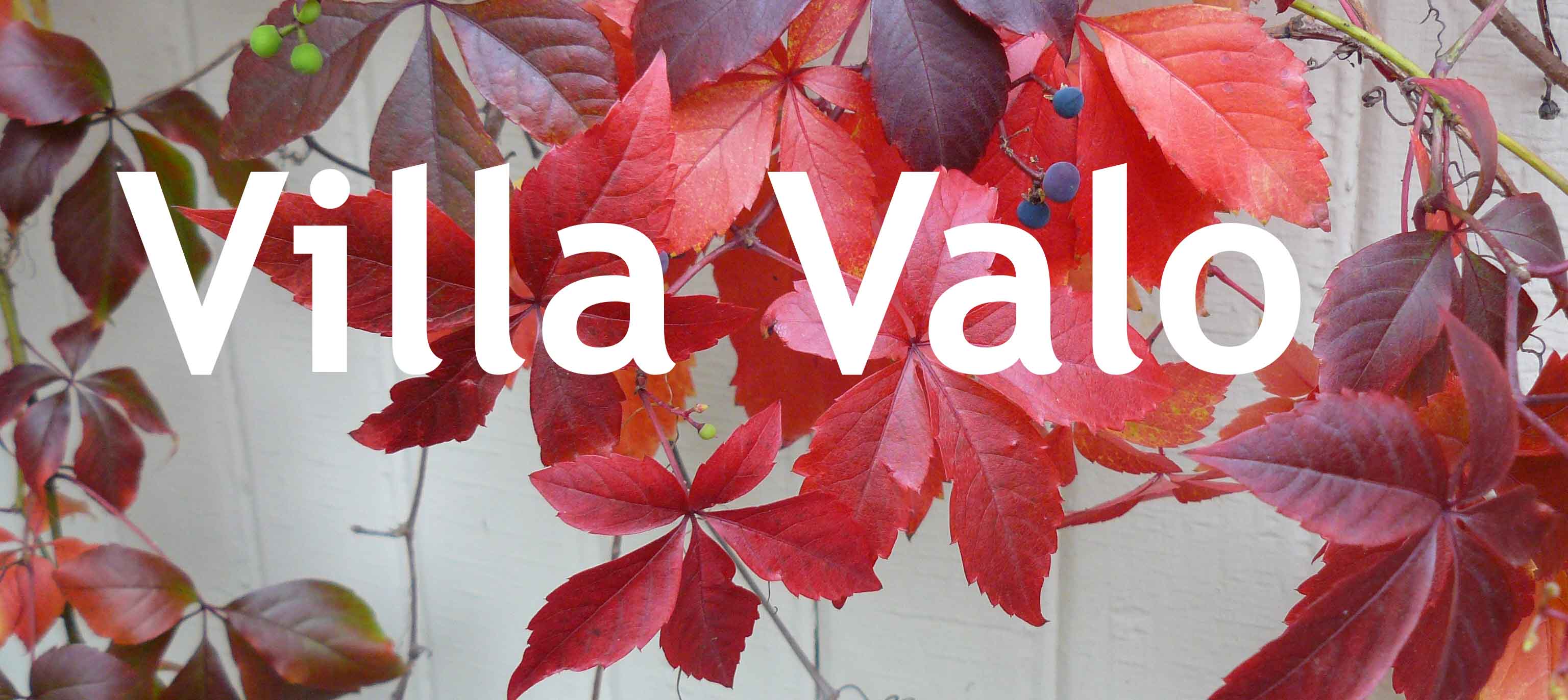 Villa Valo logo